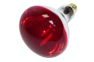 Žiarovka do infra lampy 100W